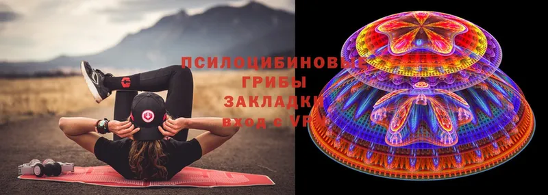 Псилоцибиновые грибы Psilocybe  как найти наркотики  Задонск 